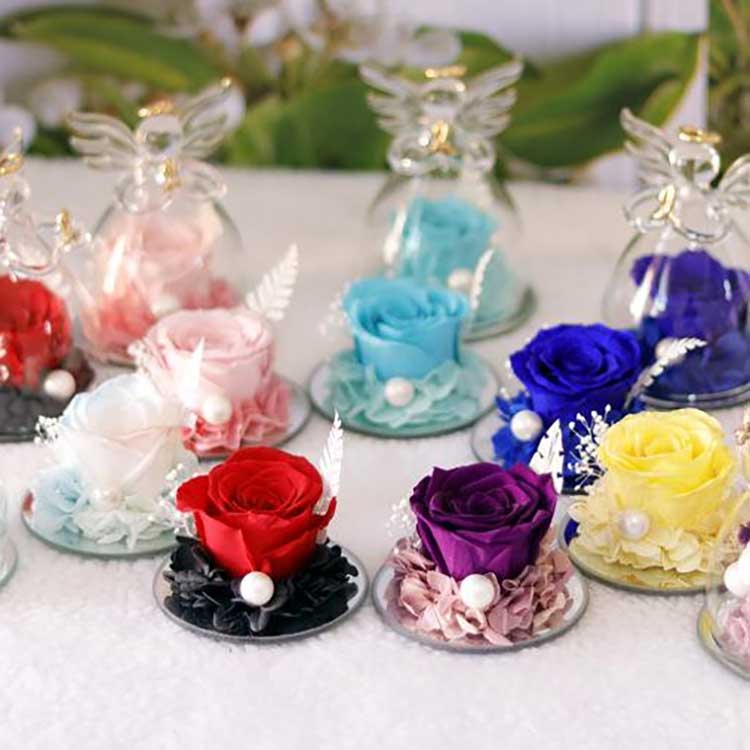 Angelic Eternal Rose