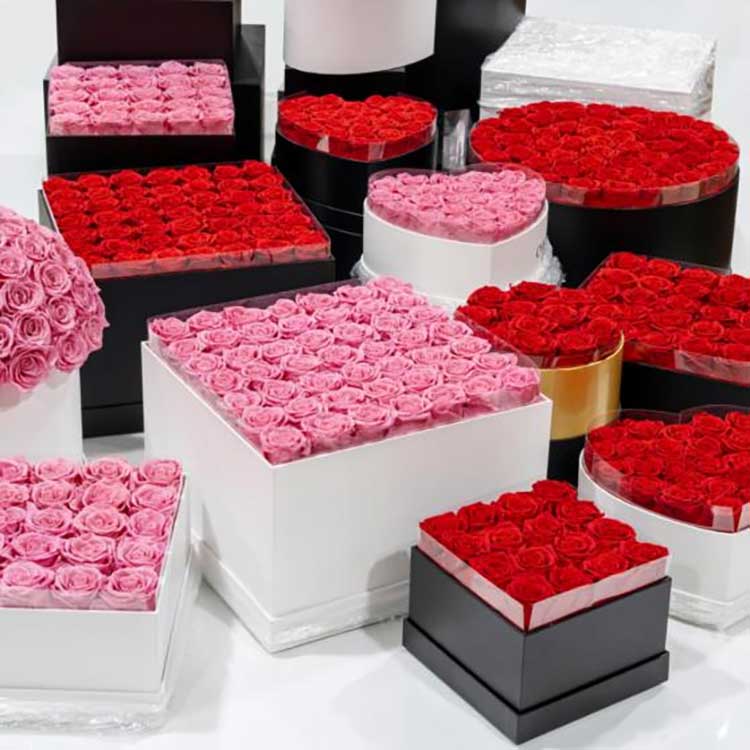 Bevart blomsterklembøtte